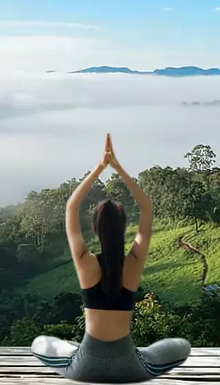 Branded Residences The Westin